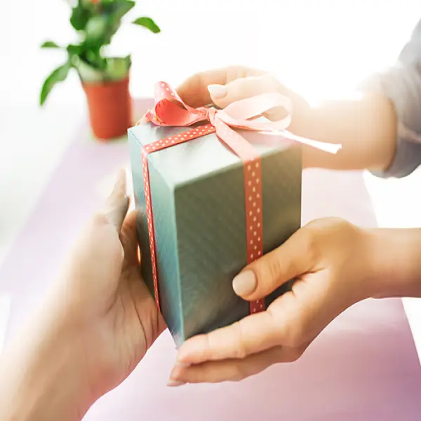 Quà Xanh Việt ra mắt bộ sưu tập quà Tết 2025 thân thiện môi trường
